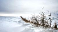 Winterlandschap