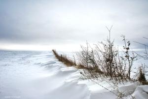 Winterlandschap